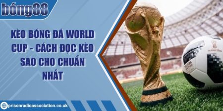 Kèo bóng đá World Cup - Cách đọc kèo sao cho chuẩn nhất