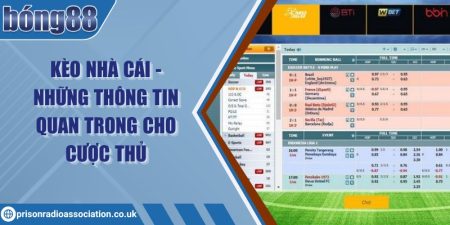 Kèo nhà cái - Những thông tin quan trong cho cược thủ